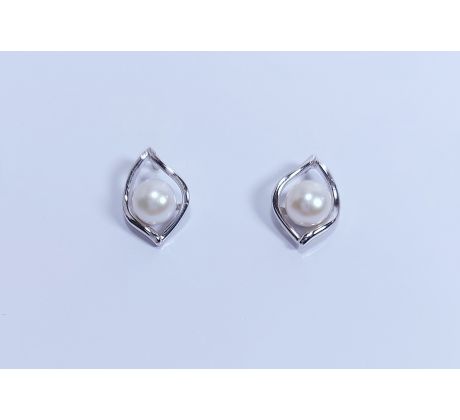 Náušnice striebro 40174