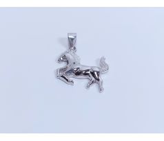 Strieborný prívesok 15583