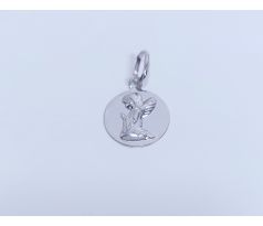 Strieborný prívesok 15573